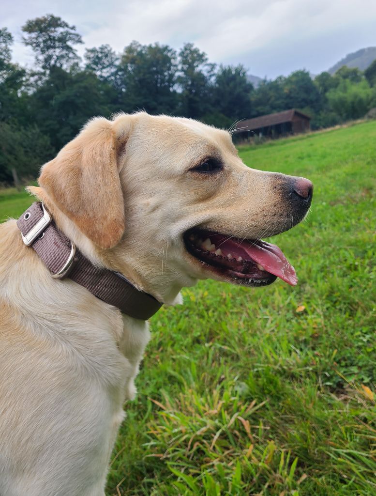 Tatie Du prieur de la roche